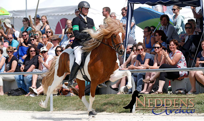 dim2015_voerdur_toelt