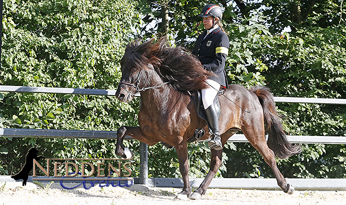 schurr18_lisa_imaldur3