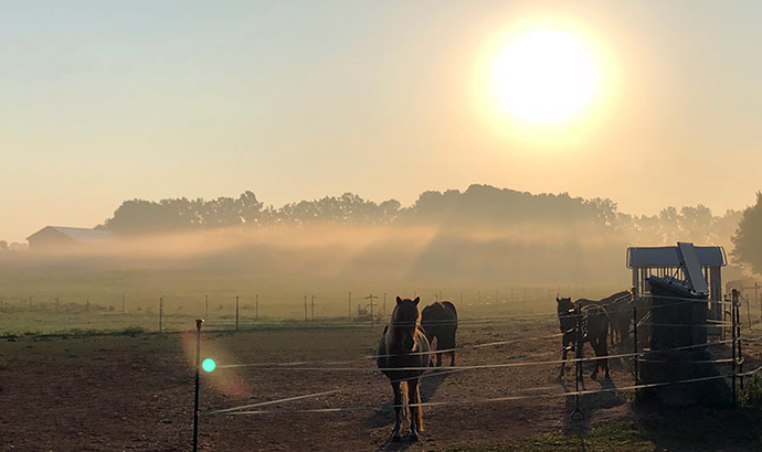 sonnenaufgang_offenstall