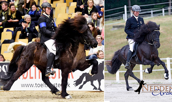 spoelur_toelt_galopp