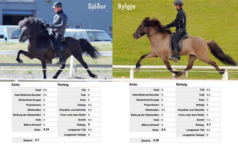 byr_sjodur_bylgja_plusfizo