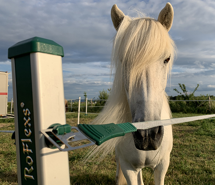 roflexs_kjalar_dim19