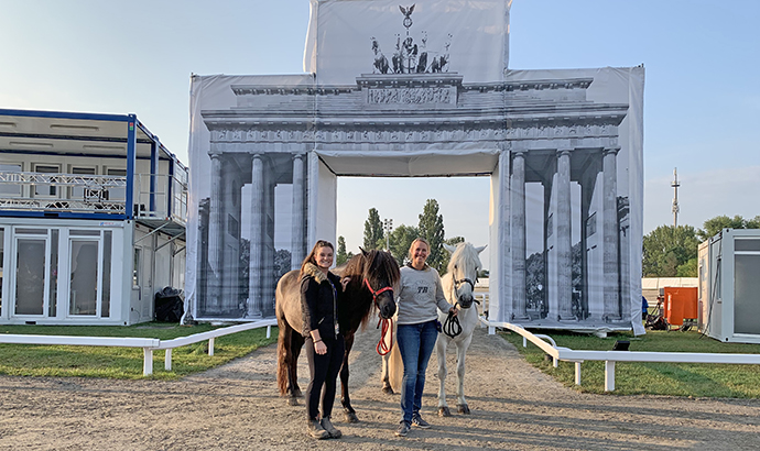 wm19_bassi_kjalar_btor